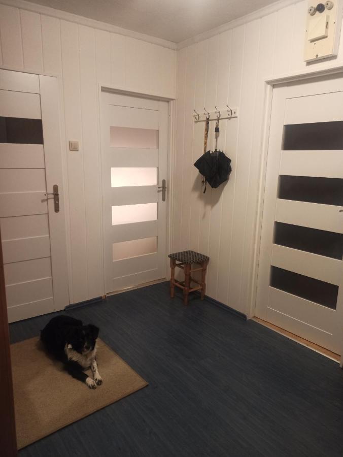 Apartament Za Rogiem Papierni Duszniki Zdroj Exterior photo